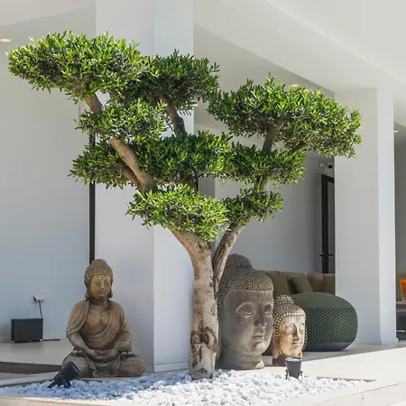 The View Villa *